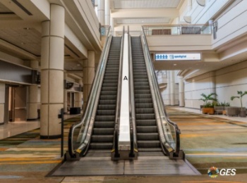 Picture of Escalator Runner L2-ESC07