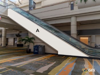 Picture of ClingL2-CL01