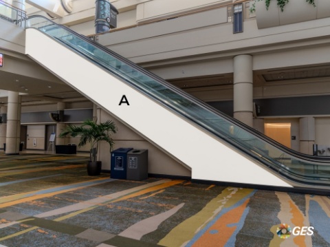 Picture of ClingL2-CL01